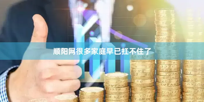 顺阳网很多家庭早已扛不住了