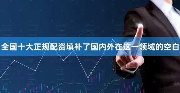 全国十大正规配资填补了国内外在这一领域的空白