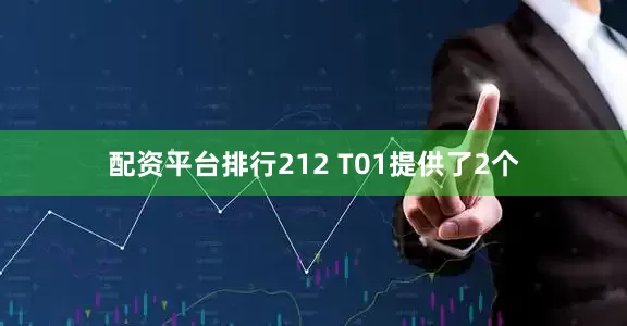 配资平台排行212 T01提供了2个