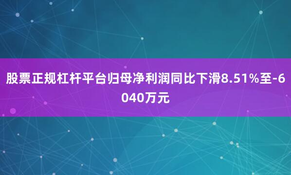 股票正规杠杆平台归母净利润同比下滑8.51%至-6040万元
