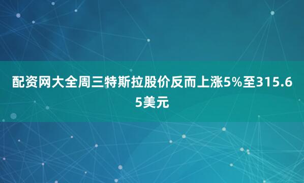 配资网大全周三特斯拉股价反而上涨5%至315.65美元