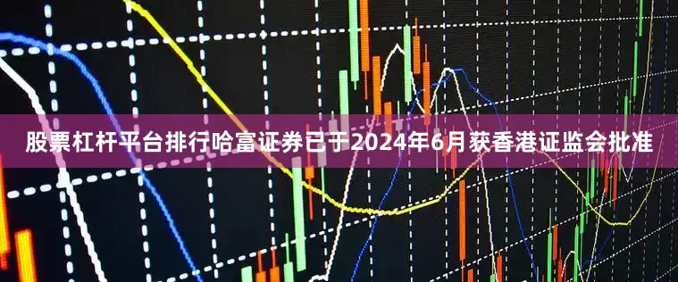 股票杠杆平台排行哈富证券已于2024年6月获香港证监会批准