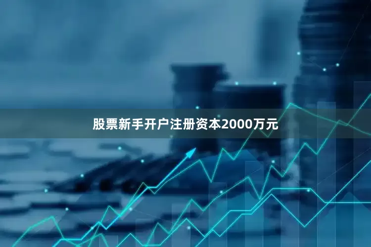 股票新手开户注册资本2000万元