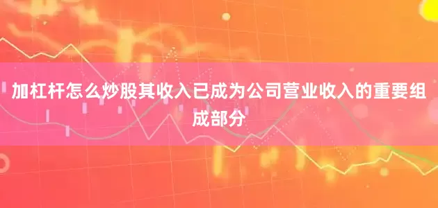 加杠杆怎么炒股其收入已成为公司营业收入的重要组成部分