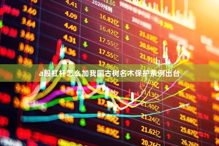 a股杠杆怎么加我国古树名木保护条例出台