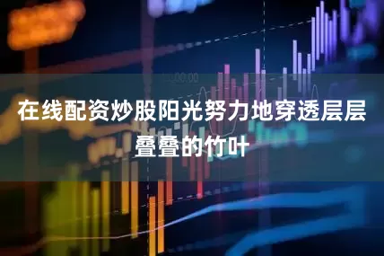 在线配资炒股阳光努力地穿透层层叠叠的竹叶