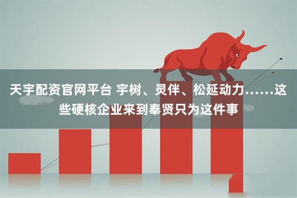 天宇配资官网平台 宇树、灵伴、松延动力……这些硬核企业来到奉贤只为这件事